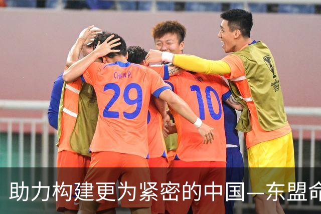 助力构建更为紧密的中国—东盟命运共同体